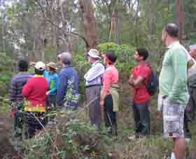 Boronia Tours - Accommodation Nelson Bay 0
