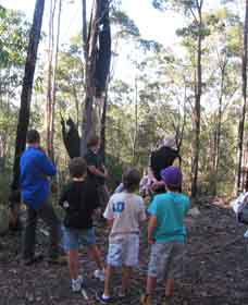 Boronia Tours - Accommodation Nelson Bay 1