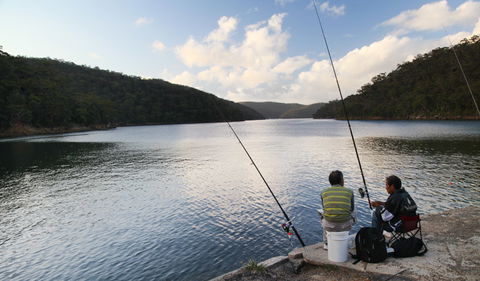 D'Albora Marinas At Akuna Bay - Accommodation Nelson Bay 3