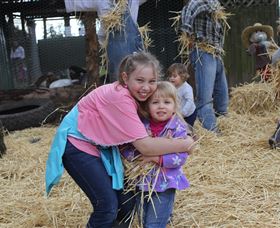 Golden Ridge Animal Farm - Accommodation Nelson Bay 2