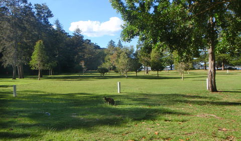 The Basin Picnic Area - Nelson Bay Accommodation.com 1