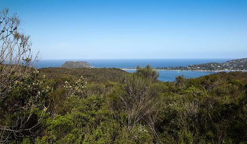 Aboriginal Heritage Walk - Accommodation Nelson Bay 1