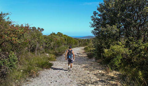 Aboriginal Heritage Walk - Accommodation Nelson Bay 3