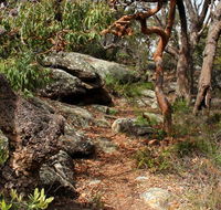 Box Head track - Accommodation Nelson Bay