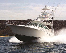 Gosford NSW Accommodation Nelson Bay