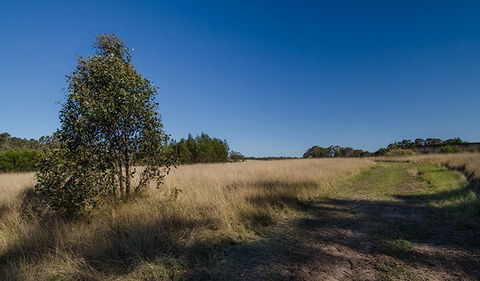 Scheyville Horse Riding Trails - Accommodation Nelson Bay 0