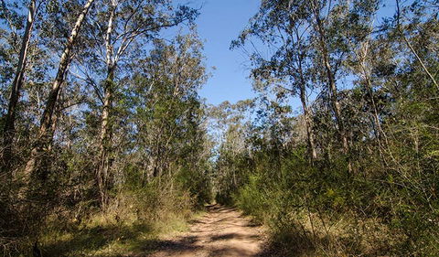 Scheyville Horse Riding Trails - Accommodation Nelson Bay 3