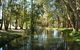 Everglades Country Club - thumb 2
