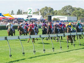 Morphettville Racecourse - Accommodation Nelson Bay 0