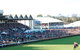 Morphettville Racecourse - thumb 1