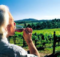 Ashton Hills Vineyard - Accommodation Nelson Bay