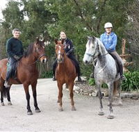 Academy of Dressage - Accommodation Nelson Bay