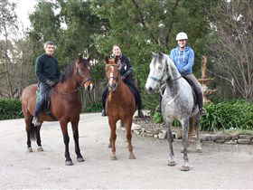 Academy Of Dressage - Accommodation Nelson Bay 0