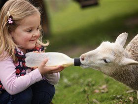 Hahndorf Farm Barn - Accommodation Nelson Bay 0