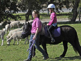 Hahndorf Farm Barn - Accommodation Nelson Bay 2