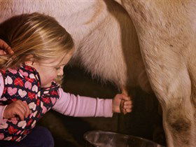 Hahndorf Farm Barn - Accommodation Nelson Bay 1