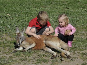 Hahndorf Farm Barn - Accommodation Nelson Bay 3
