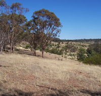 Onkaparinga River National Park - Accommodation Nelson Bay