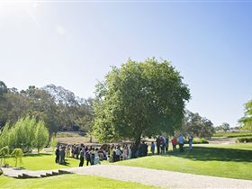 Howard Vineyard - Accommodation Nelson Bay 1