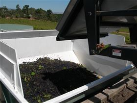 Possingham And Summers Cellar Door - Accommodation Nelson Bay 1