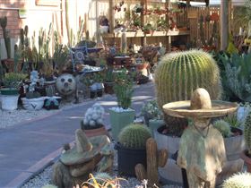 Cactus Creations - Nelson Bay Accommodation.com 0