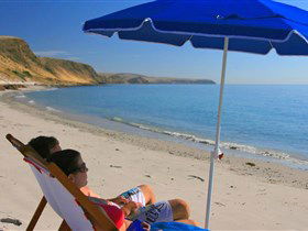 Lady Bay Beach - Accommodation Nelson Bay 0