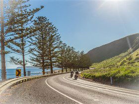 Lady Bay Beach - Accommodation Nelson Bay 2
