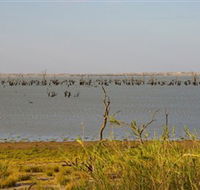 Lake Victoria - Accommodation Nelson Bay