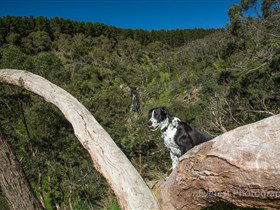 Ingalalla Waterfalls - Accommodation Nelson Bay 1