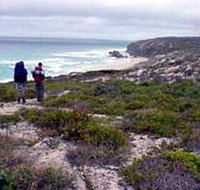 Murray Lagoon - Cape Gantheaume Conservation Park - Accommodation Nelson Bay