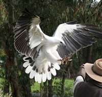 Raptor Domain - Accommodation Nelson Bay