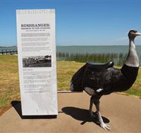 Birdman of the Coorong - Accommodation Nelson Bay