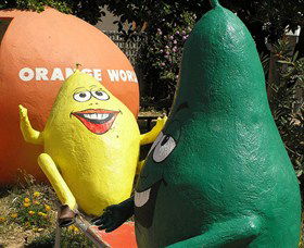Orange World - Accommodation Nelson Bay 0