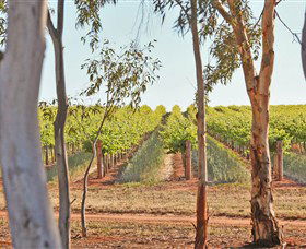 Trentham Estate Winery - Accommodation Nelson Bay 4