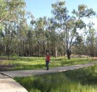 Ben Scott Memorial Bird Trail - Accommodation Nelson Bay