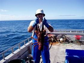 Lacepede Seafood - Nelson Bay Accommodation.com 2