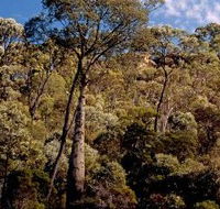 Ka Ka Mundi Carnarvon National Park - Accommodation Nelson Bay