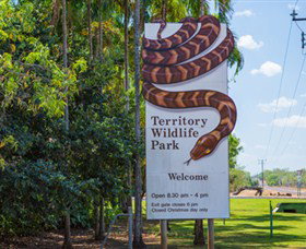Territory Wildlife Park - Accommodation Nelson Bay 4