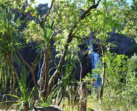 Manngarre Rainforest Walk - Accommodation Nelson Bay 1