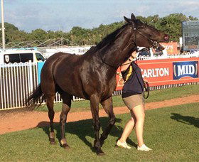 Darwin Turf Club - Accommodation Nelson Bay 2
