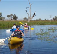 Marsh Meanders - Accommodation Nelson Bay