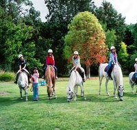 Limestone Coast Horseriding - Accommodation Nelson Bay