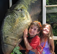 Australian Opal Centre - Accommodation Nelson Bay