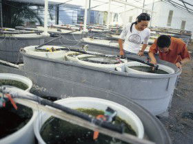 James Cook University Of North Queensland - Accommodation Nelson Bay 0