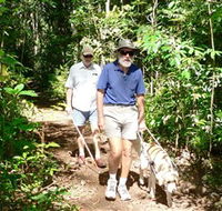 Wongabel State Forest - Accommodation Nelson Bay