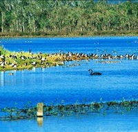 Hasties Swamp National Park - Accommodation Nelson Bay
