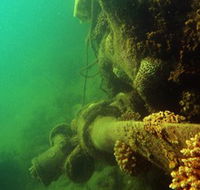 Wreck Diving at Magnetic Island - Accommodation Nelson Bay