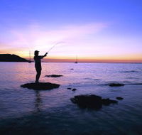 Fishing at Magnetic Island - Accommodation Nelson Bay