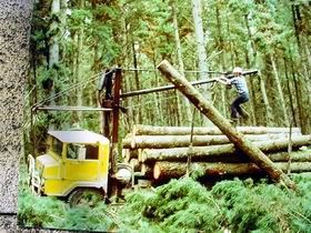 Nangwarry Forestry And Logging Museum - Accommodation Nelson Bay 3