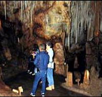 Tantanoola Caves Conservation Park - Accommodation Nelson Bay